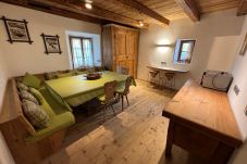 Apartment in Cortina d´Ampezzo - Chalet Antelao